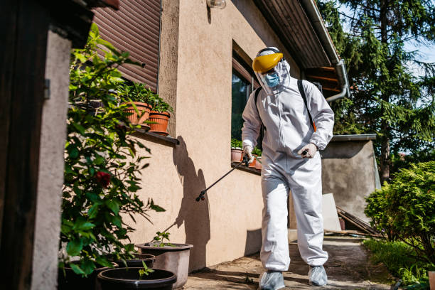 Best Affordable Pest Control Services  in Dale City, VA