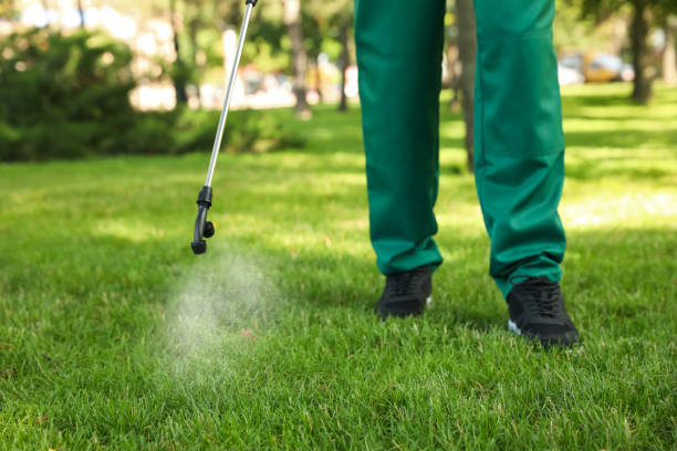 Best Pest Control for Restaurants  in Dale City, VA