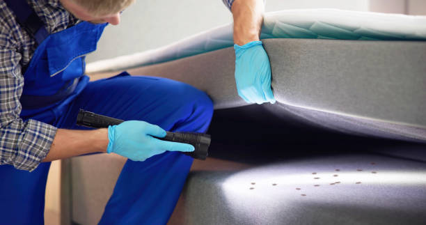 Best Commercial Pest Control Services  in Dale City, VA