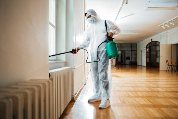 Reliable Dale City, VA Pest Control Solutions
